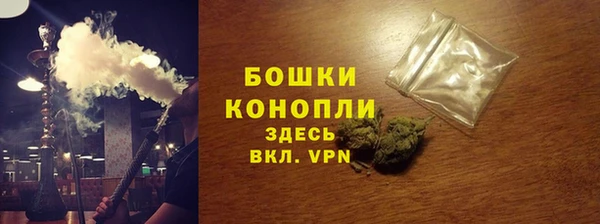 прущие грибы Балабаново