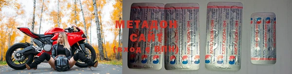 прущие грибы Балабаново