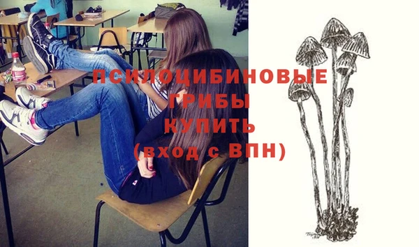 молекула духа Балахна