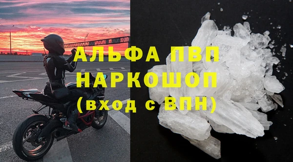прущие грибы Балабаново