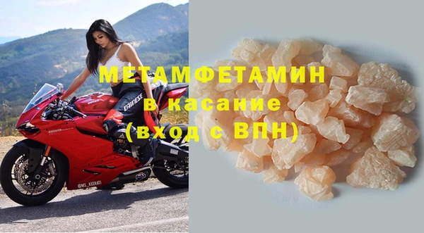 прущие грибы Балабаново