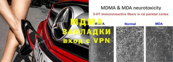 прущие грибы Балабаново