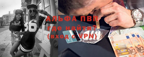 прущие грибы Балабаново