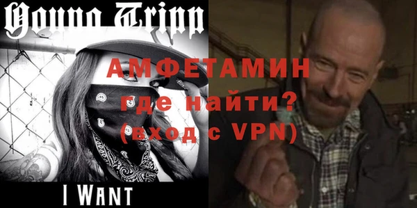 прущие грибы Балабаново