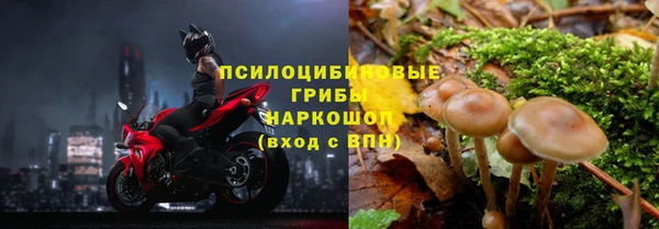 молекула духа Балахна